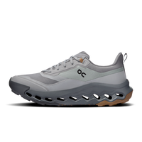 ON RUNNING Men's Cloudhorizon 2 - Alloy/Rock