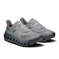 ON RUNNING Men's Cloudhorizon 2 - Alloy/Rock