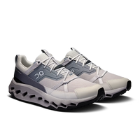 ON RUNNING Men's Cloud Horizon - Wolf/Alloy