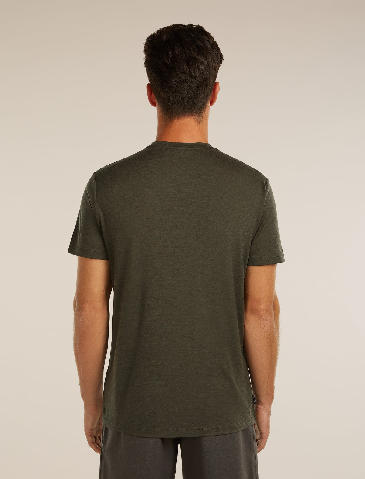 ICEBREAKER Men's Merino 150 Tech Lite Short Sleeve Tee Range Stripes - Dark Loden